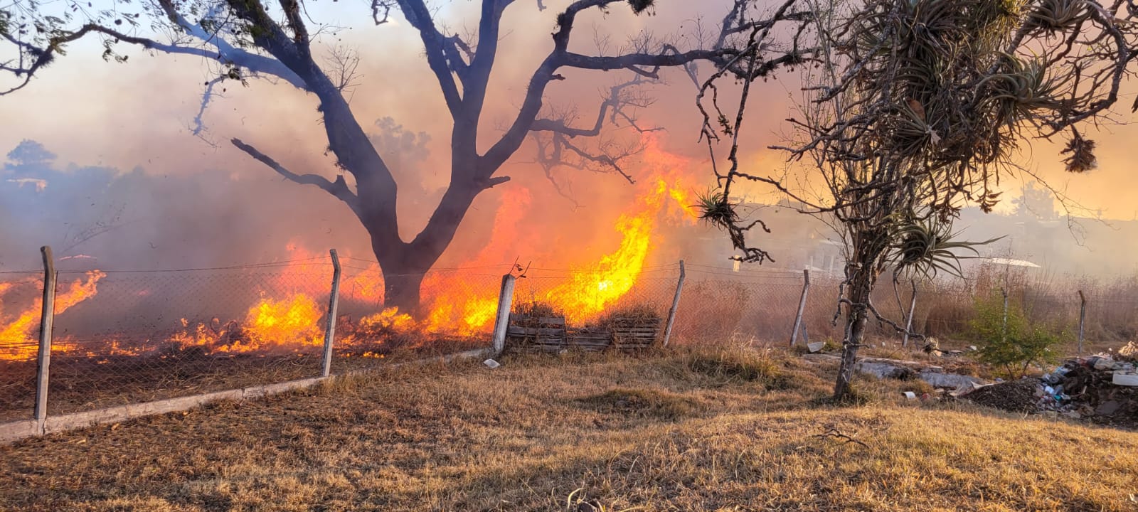 INCENDIO EN PLANTA ALTO MOLINO: COMPAÑEROS ASISTIERON A BOMBEROS Y POLICÍA