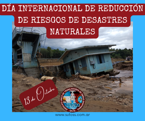 13 de Octubre. DÍA DEL PSICÓLOGO/A