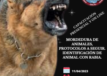 Capacitación en mordedura de animales, protocolos a seguir. Identificación de animal con rabia.