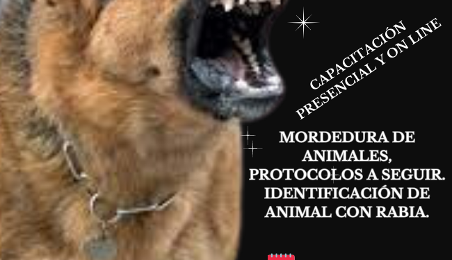 Capacitación en mordedura de animales, protocolos a seguir. Identificación de animal con rabia.