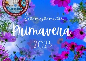 LLEGÓ LA PRIMAVERA Y LLEGARON LAS FLORES!