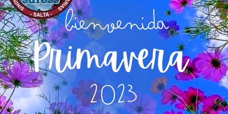 LLEGÓ LA PRIMAVERA Y LLEGARON LAS FLORES!