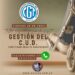 CHARLA-TALLER: GESTIÓN DE C.U.D.