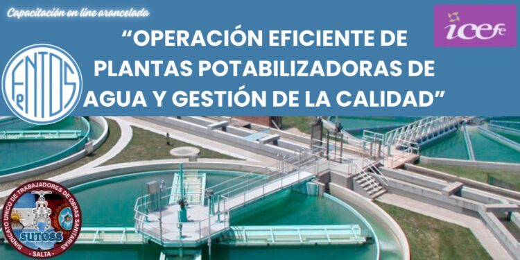 CAPACITACIÓN ON LINE: “Operación Eficiente de Plantas Potabilizadoras de Agua y Gestión de la Calidad”