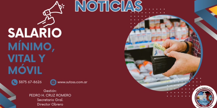 El Gobierno fijó por decreto el salario mínimo, vital y móvil.