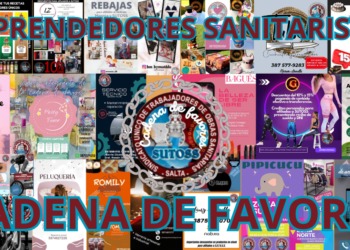 EMPRENDEDORES SANITARISTAS
